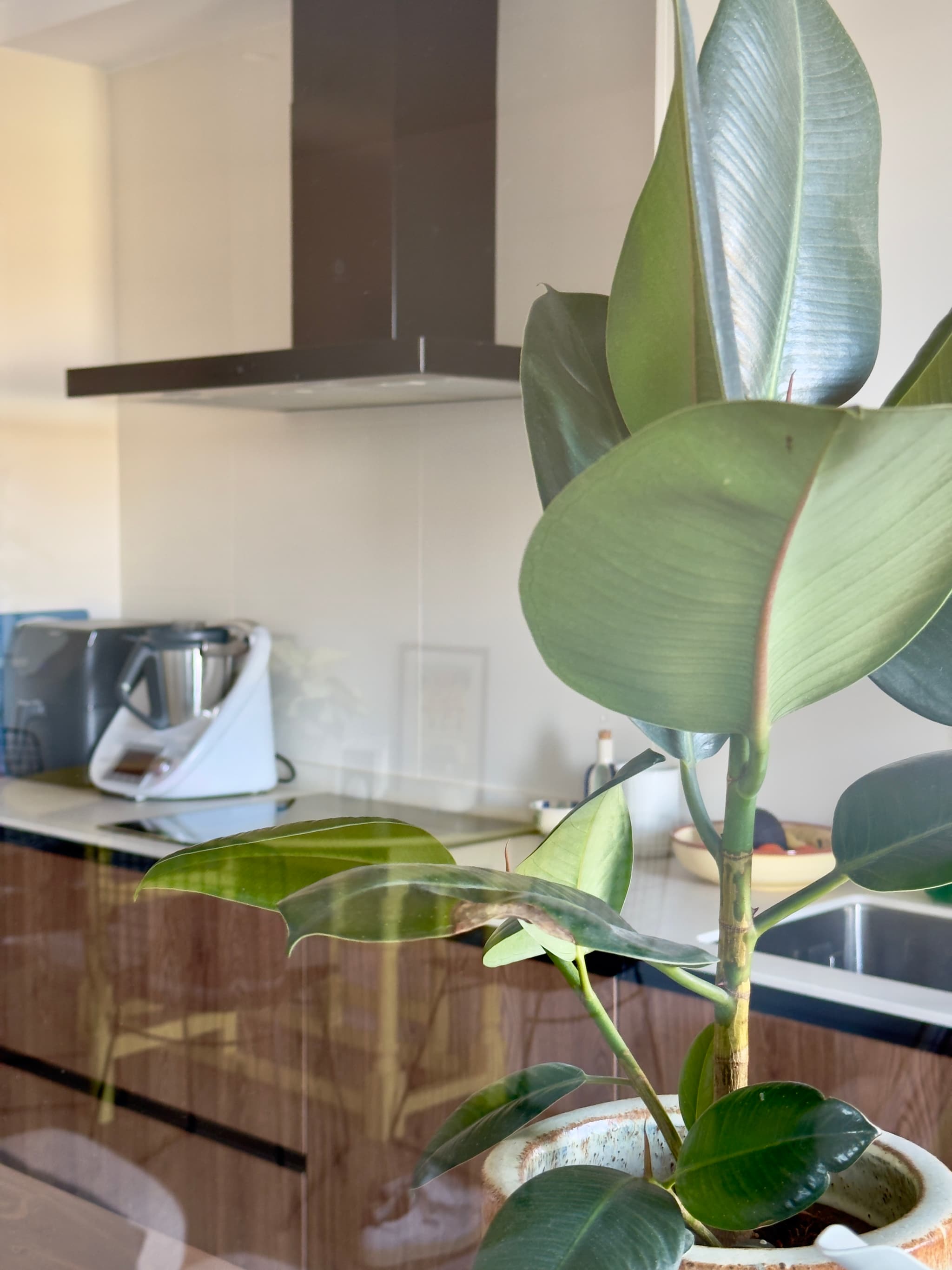 Cocina y cerramiento de cristal - Imagen 9