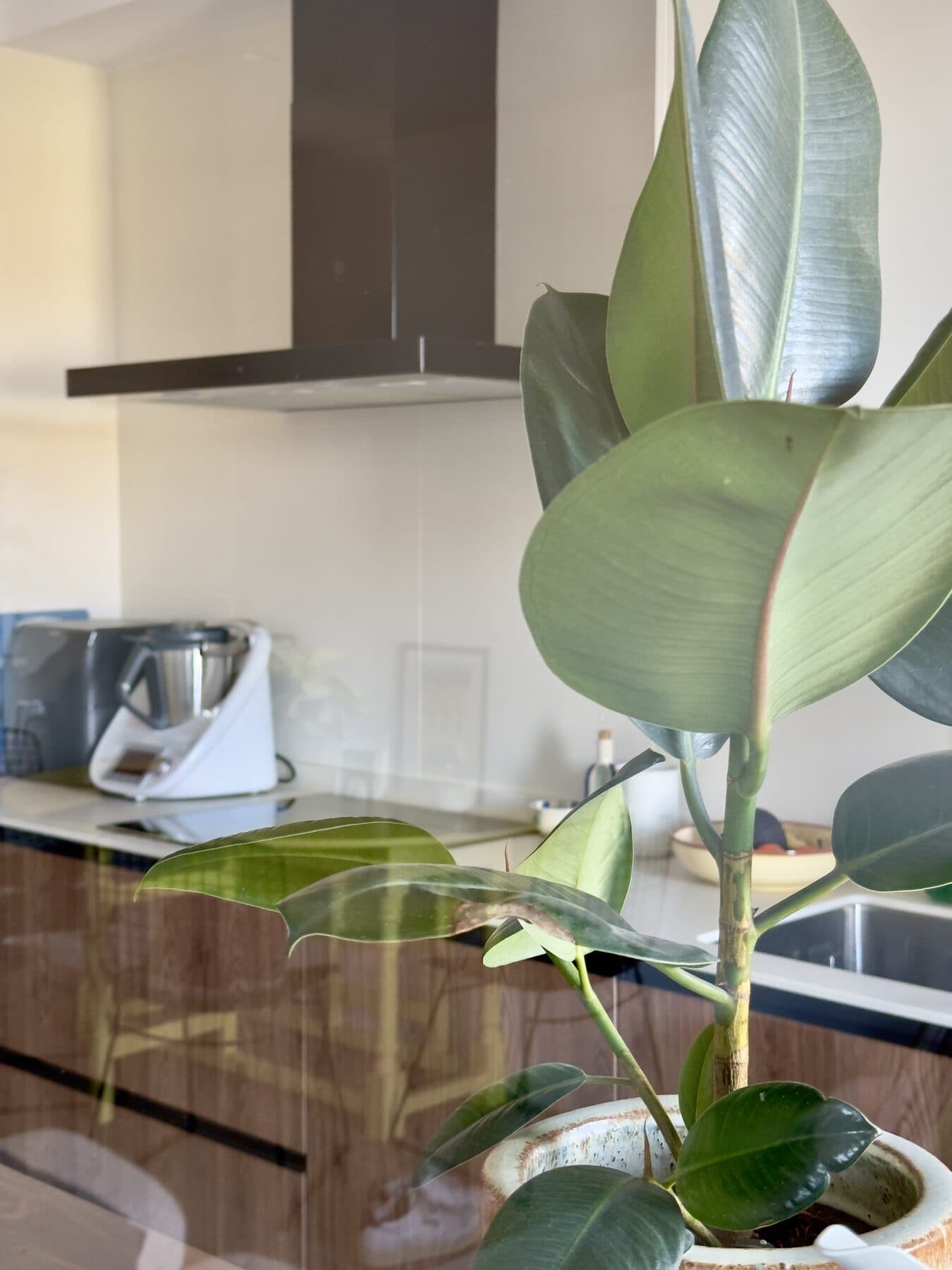 Cocina y cerramiento de cristal - Imagen 9